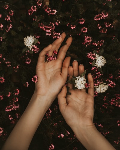 Holding a white and pink flowers
